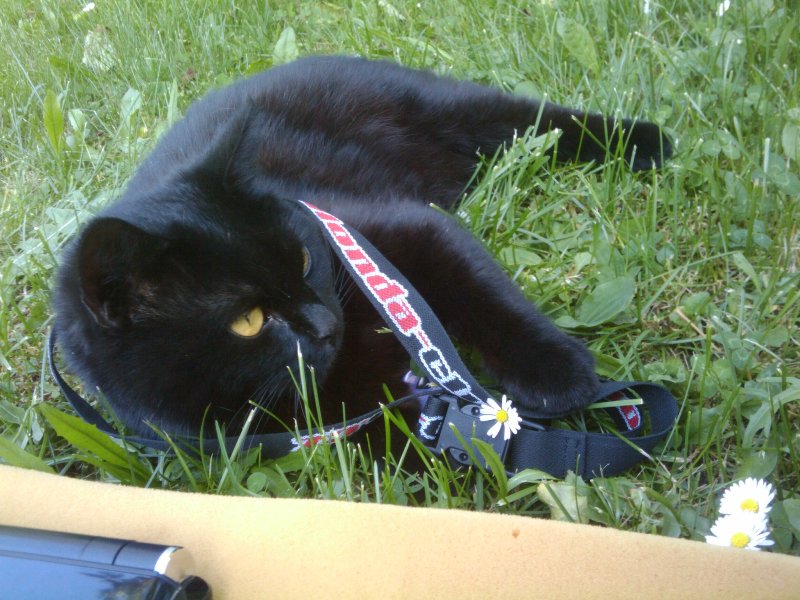 dneska už nikam nepojedeš...