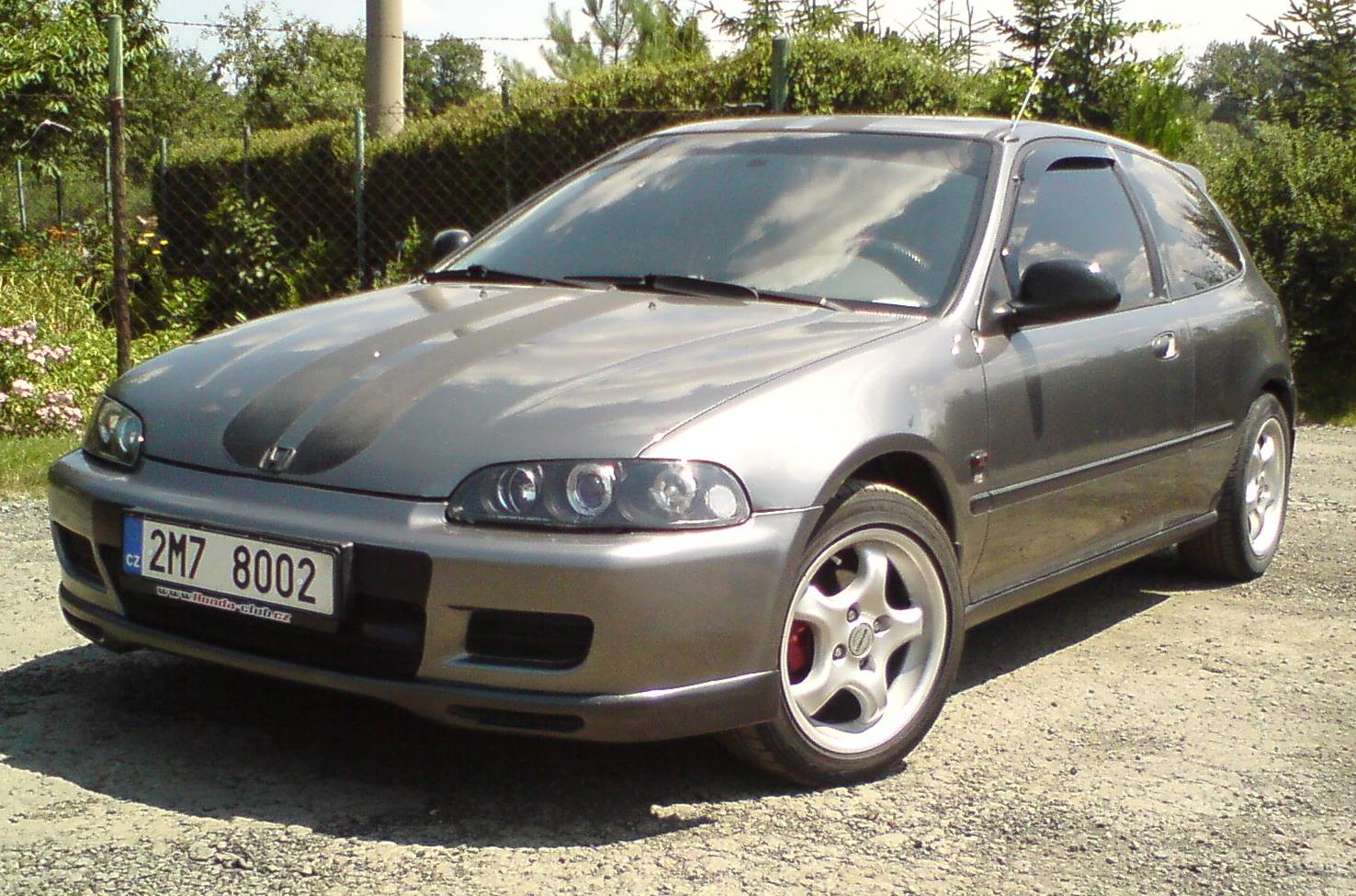 Krásné slunné dopoledne...