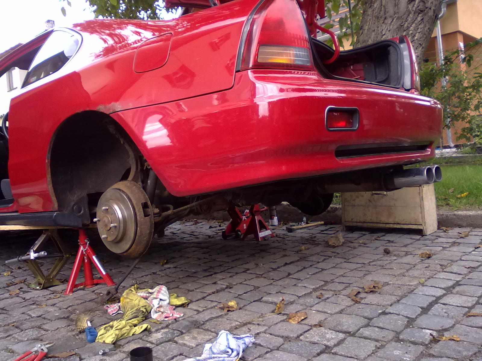 Nová slečna do rodiny :)