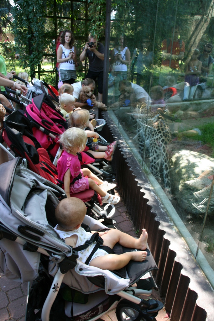 Junior club včera v zoo ve Dvoře Králové