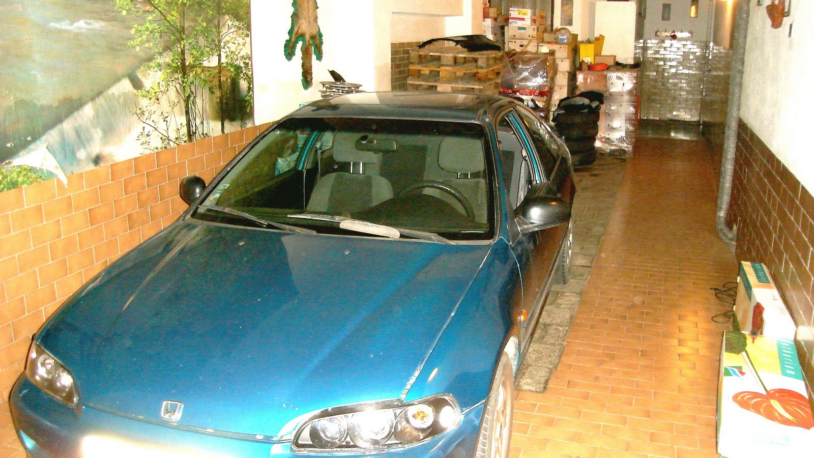 power of dreams becomes reality