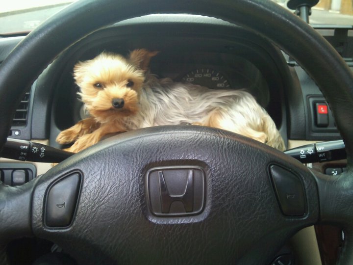 Proste se tam vesel :-)