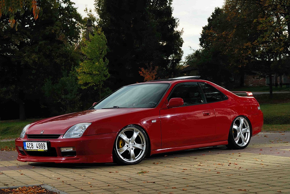 A něco z mojí zahrádky :-)