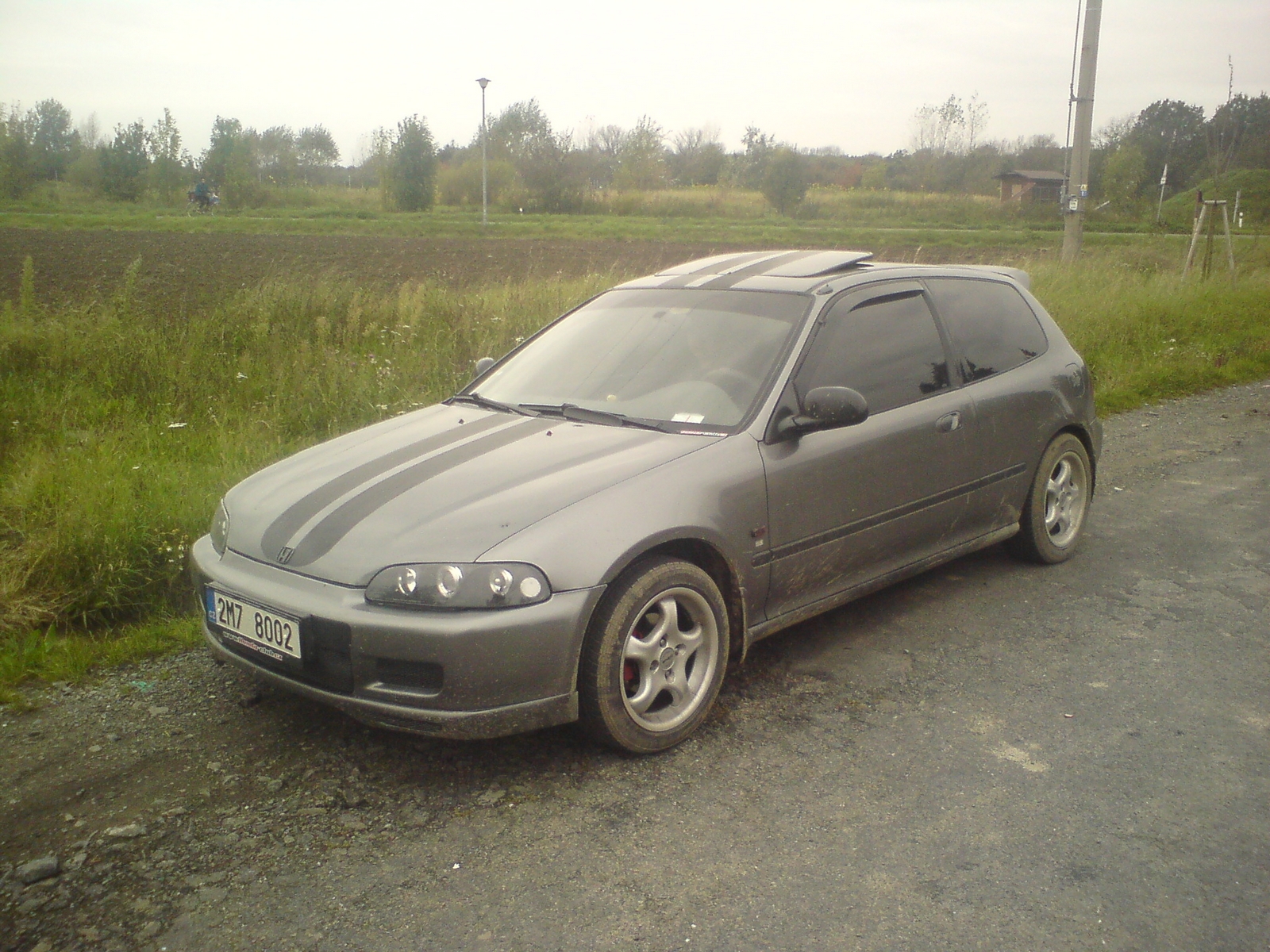 civoušek dnes teréňáčkem