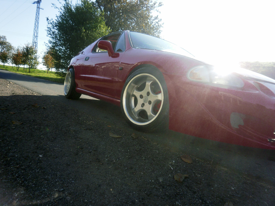 Dneska bylo fakt krásně