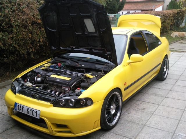 včerejší návštěva u wheelmana