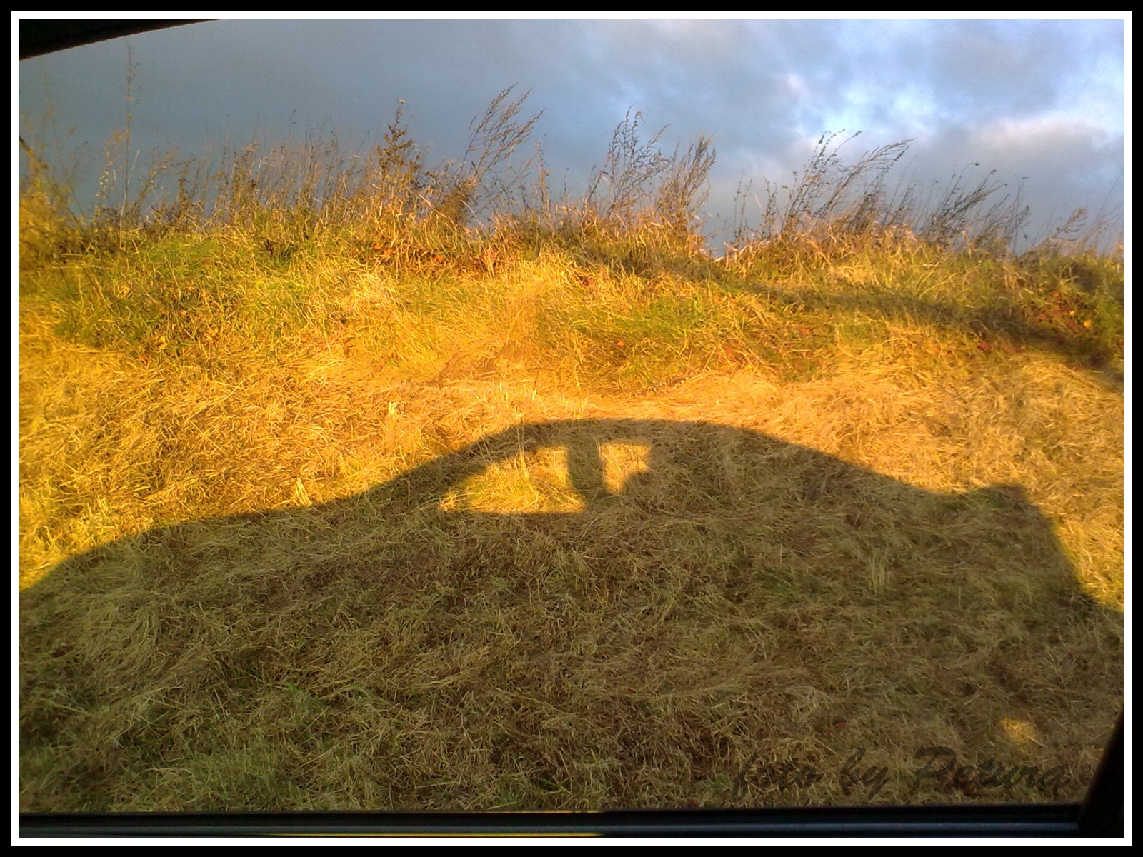 hra světel a stínů - civic´s shadow