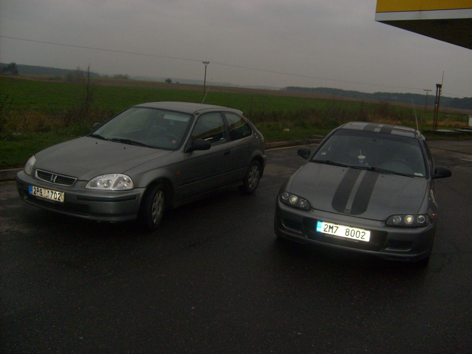 šedivoučký dvojčátečka :-)