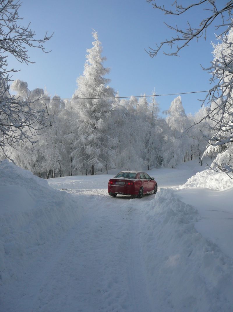 V lese je to lepší