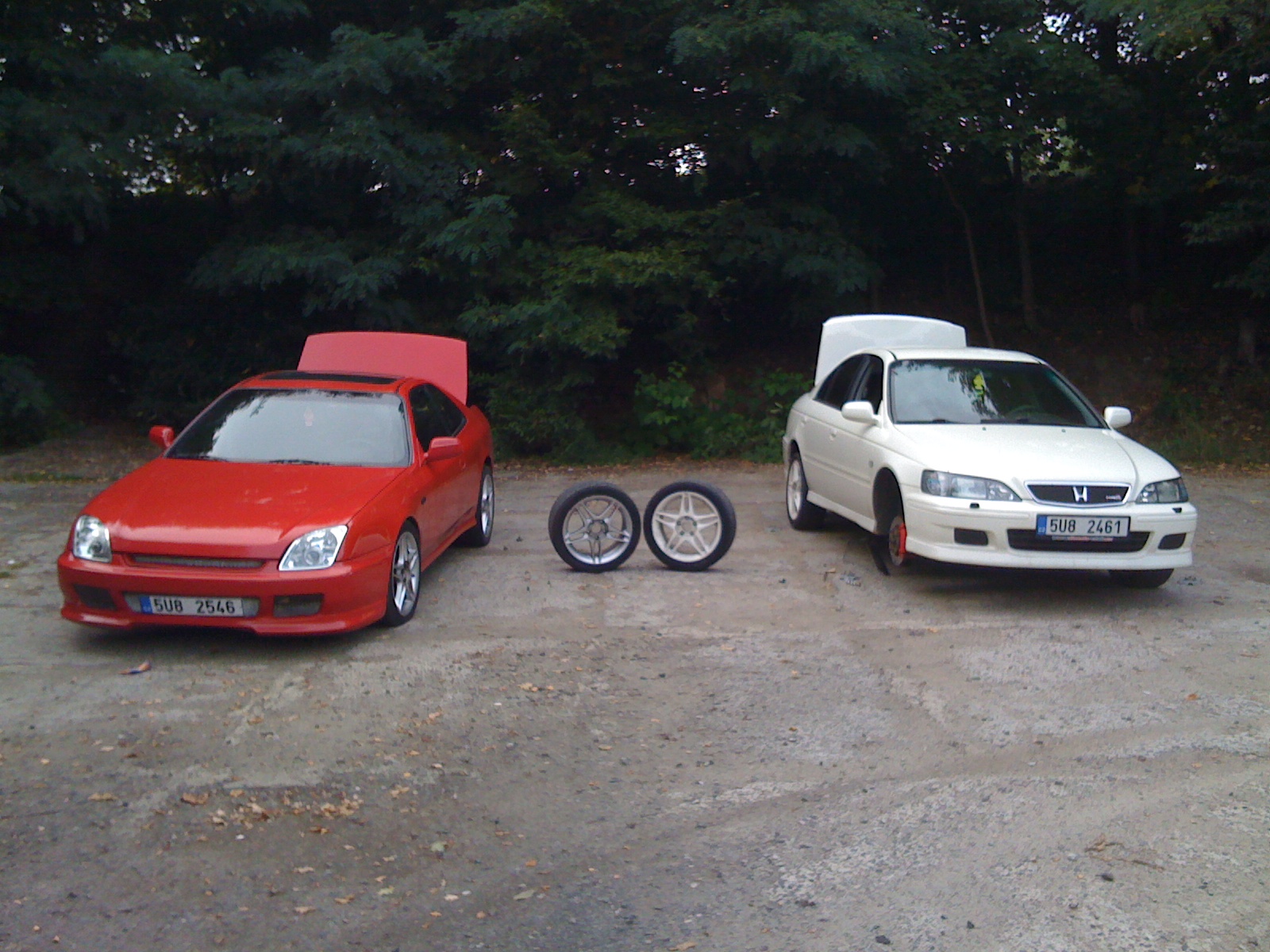 příroda v létě ..