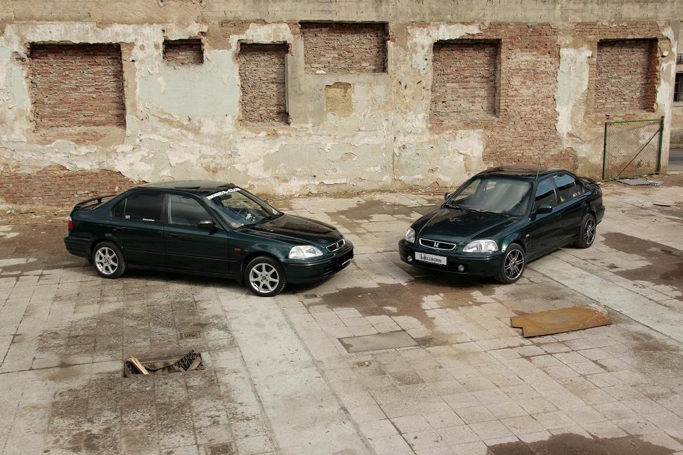 Nemůžu jinak  :o( jedna vzpomínková,  dvě čičinky "dvojčátka" naposledy spolu ...fotil Hellborn