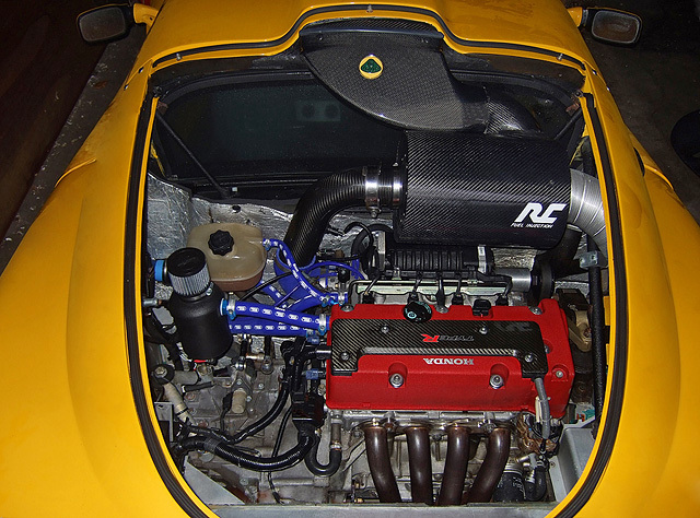 Koupim puncochu (klidne jetou)...