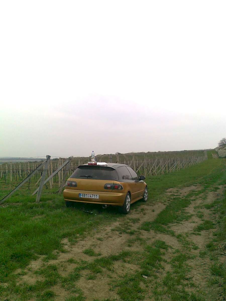 Auto do vinohradu :):)