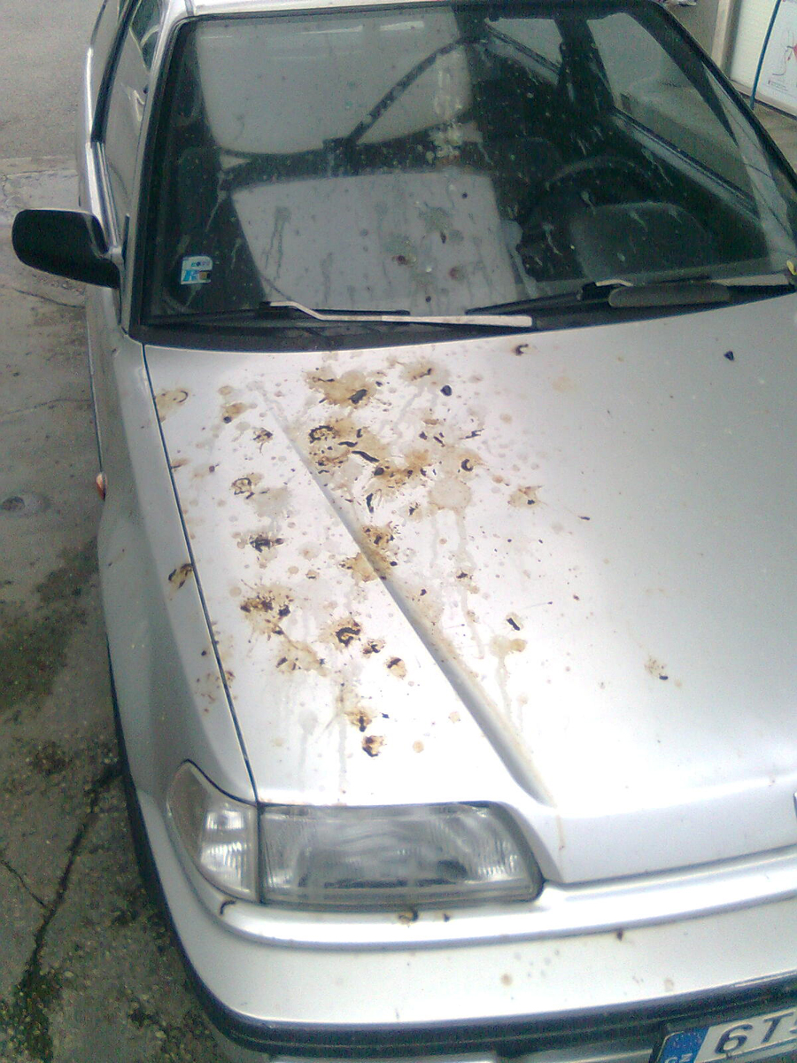 dnešní ranní airbrush...