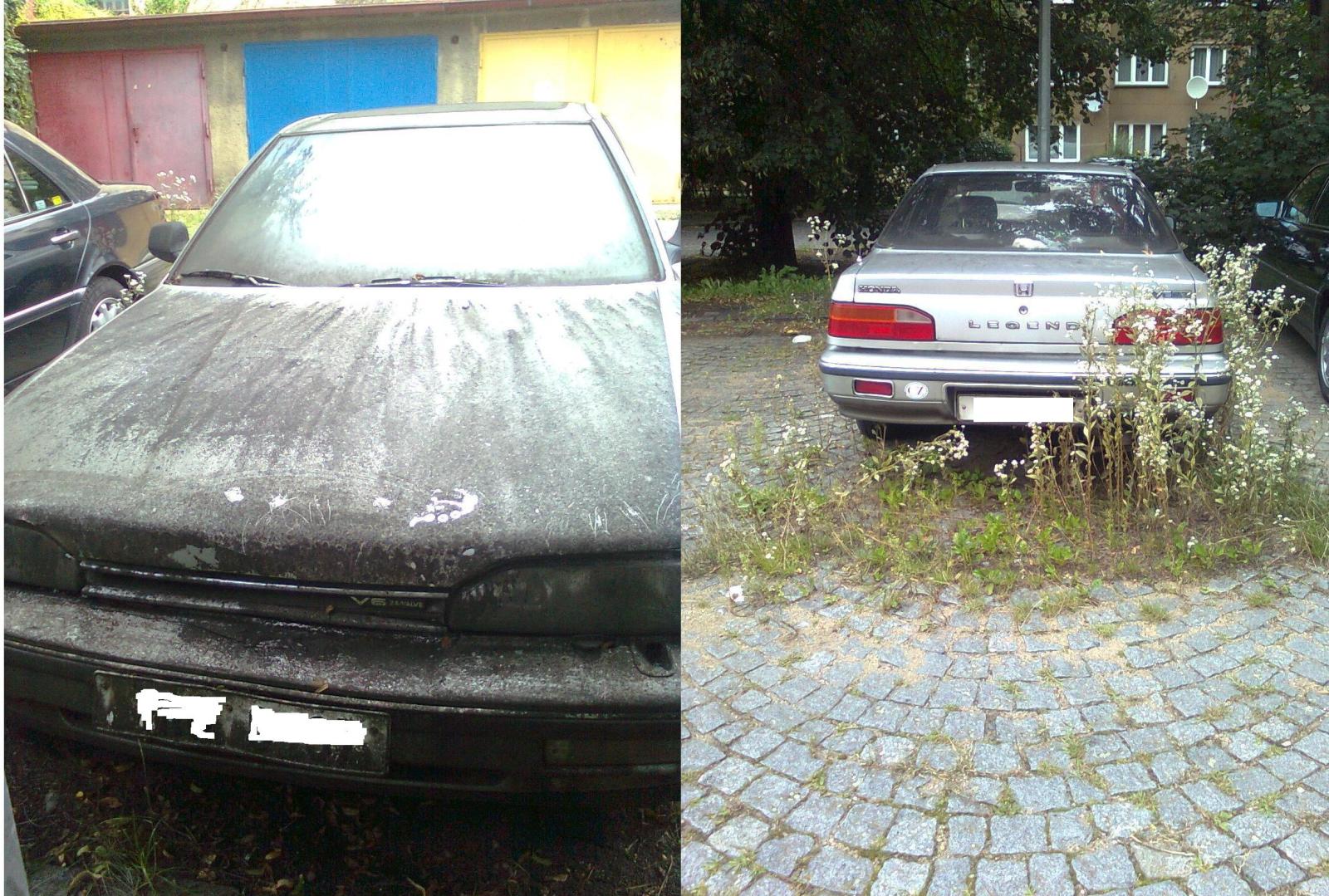 Jedna chudinka dnes... :-( A jaký bordel byl vevnitř... :-/