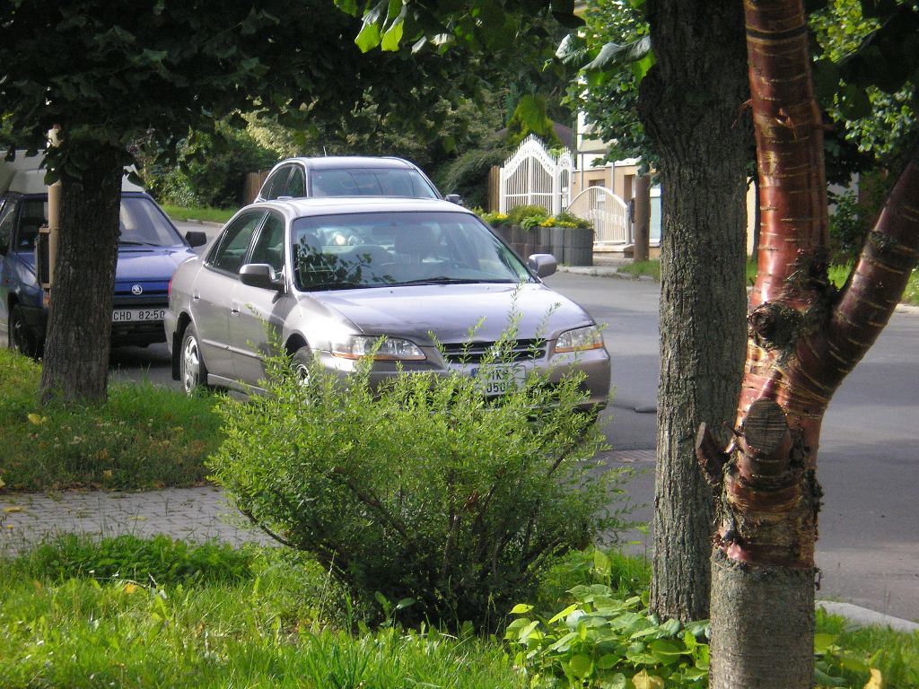 Kolik Hond je na fotce?