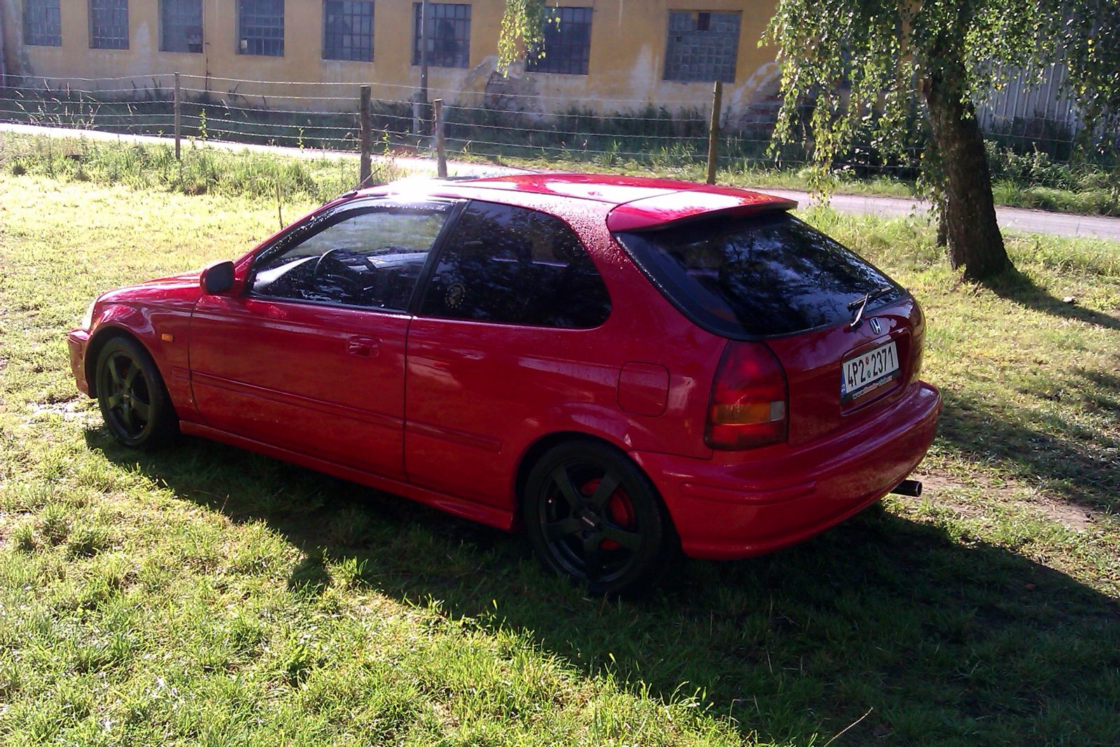 čerstvě po umytí...