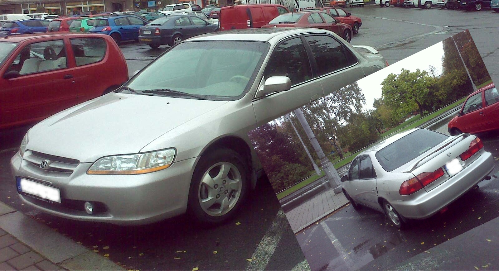 Dnešní úlovek z Havířova