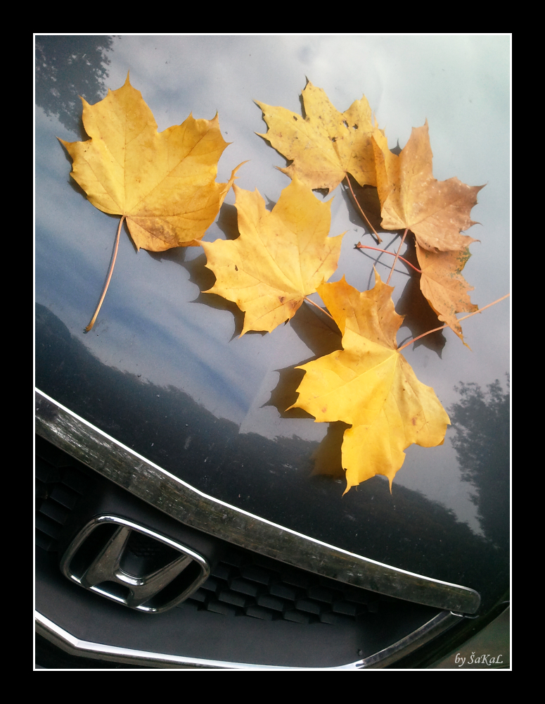 Podzim v plném proudu...