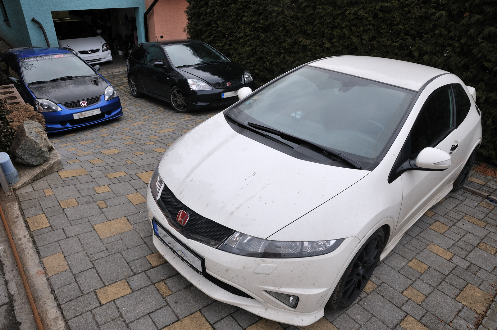 1000 Hondích koní...