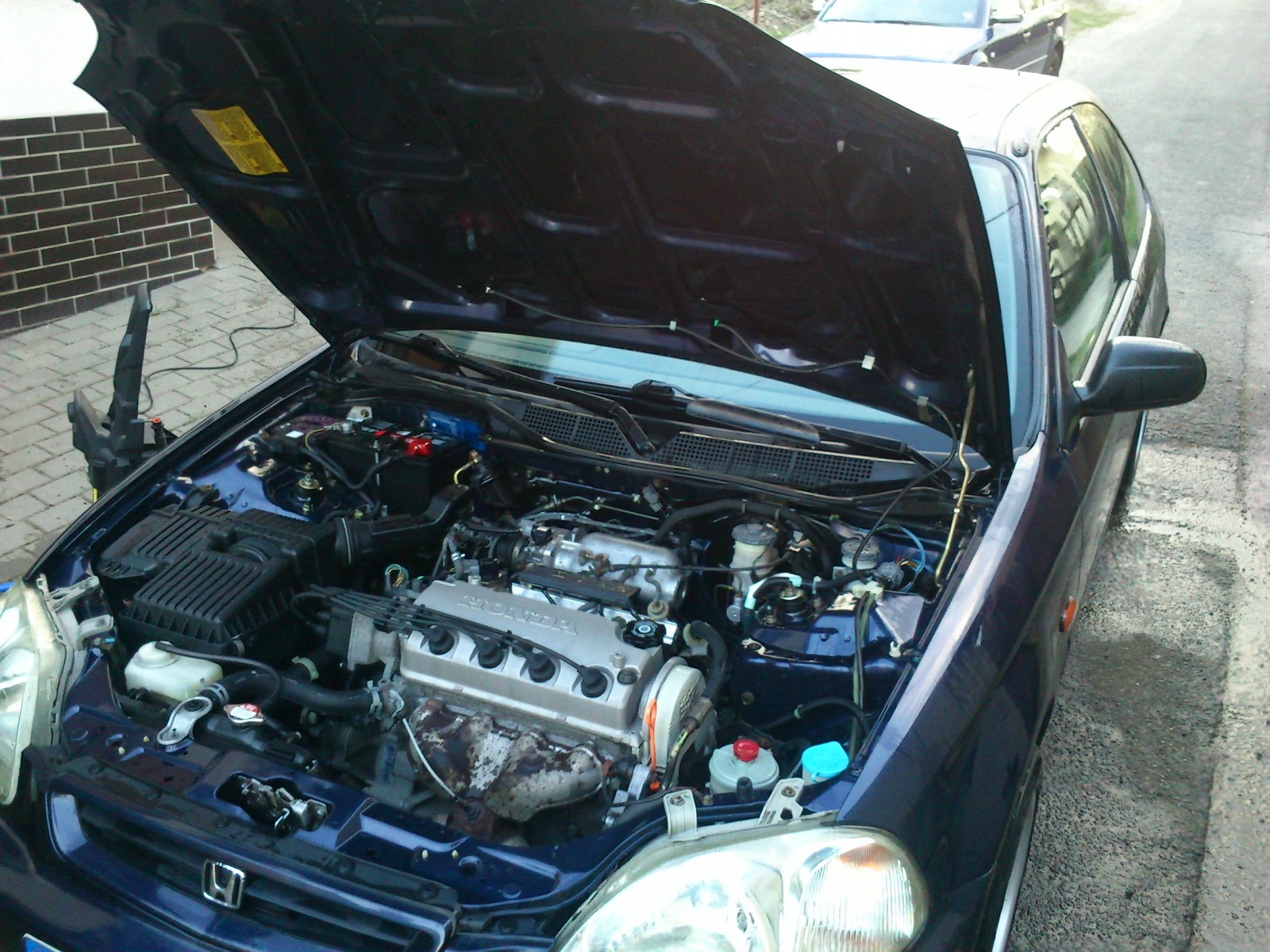 Honda ted :)