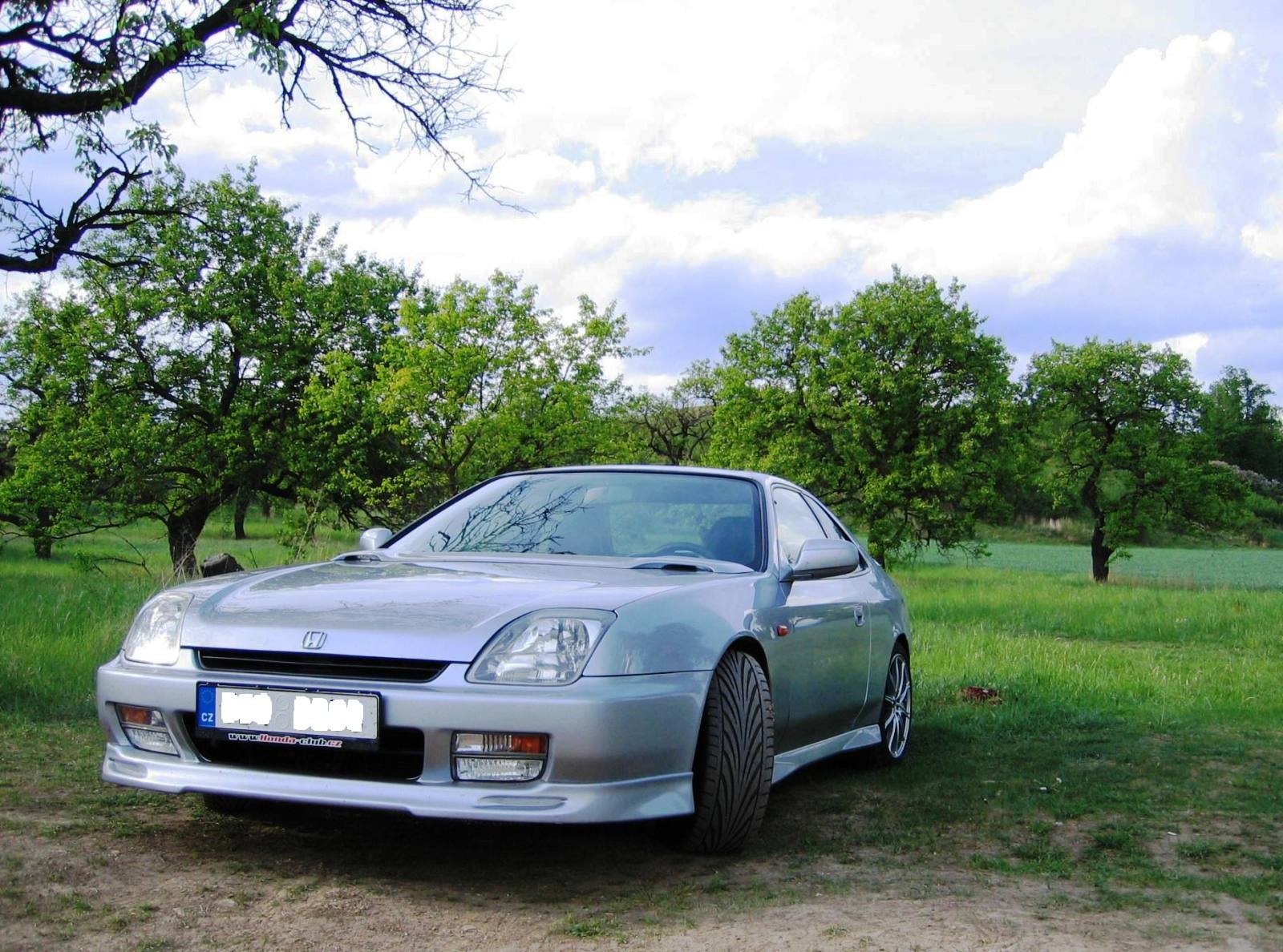 Co to v tom sadu roste ?