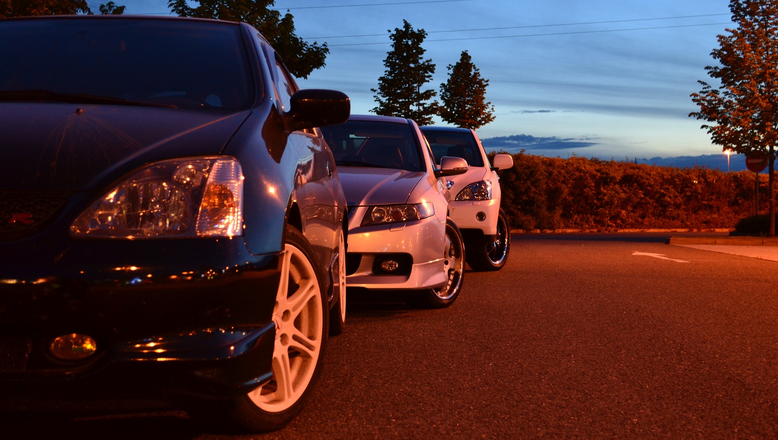 Jsme jeli fotit vcera... - 3