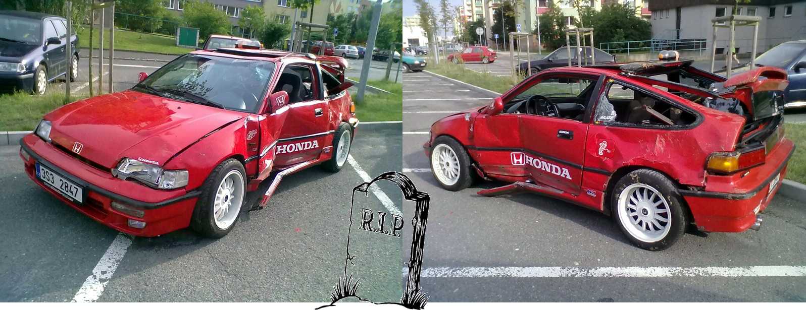 Ajsik má dnes druhé narozeniny