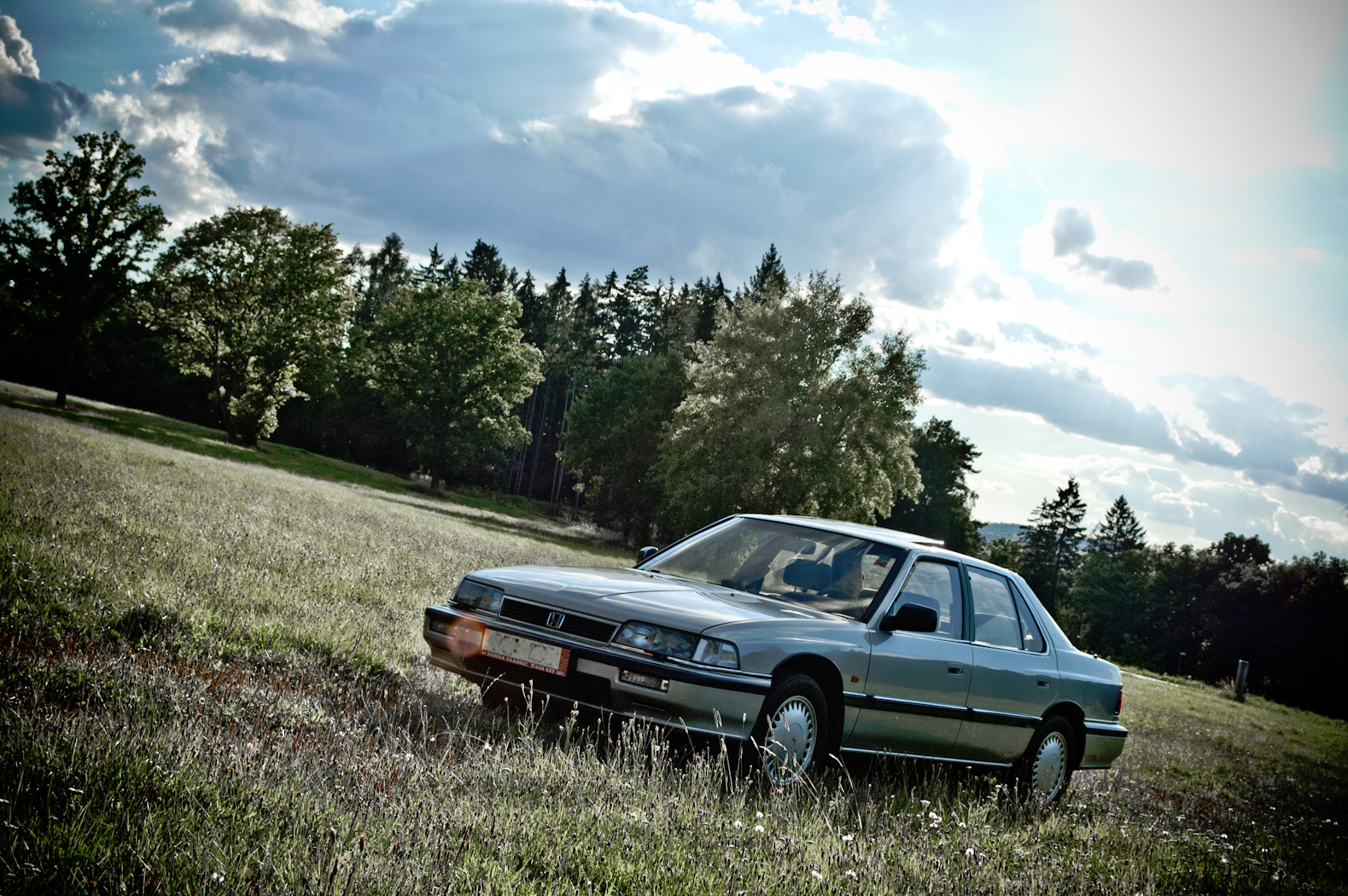 Z českých luhů a hájů