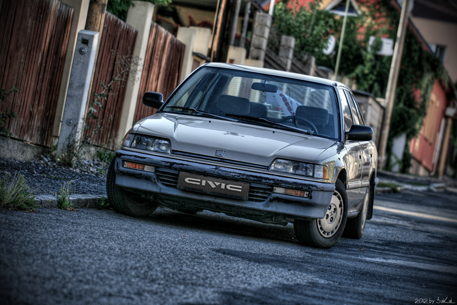 Nechcete se ho někdo ujmout?