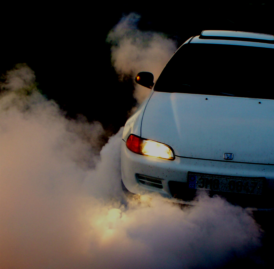 nas*anej civic