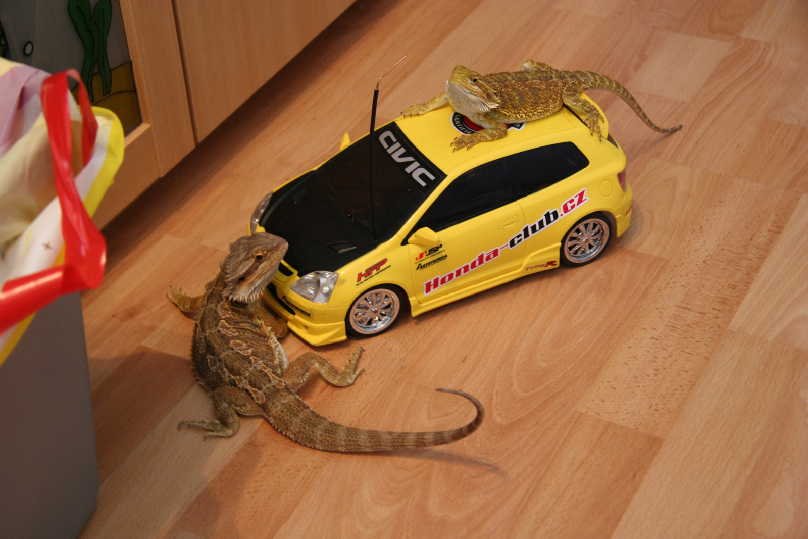 Honda v obležení :D