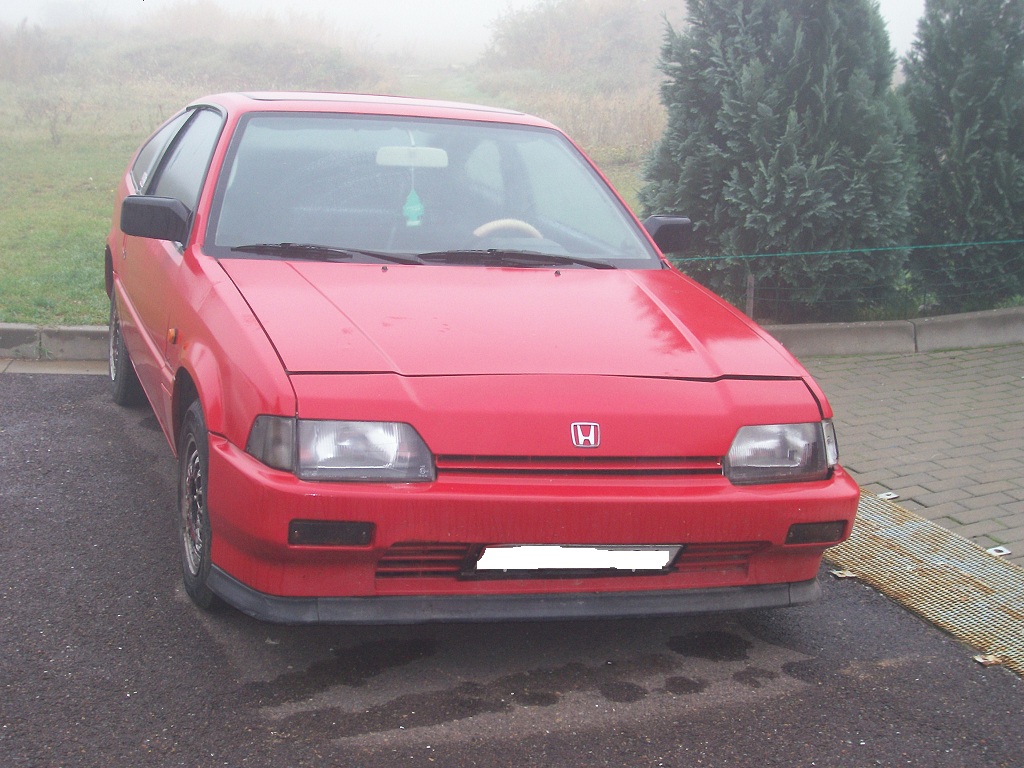 Nový mazlík do rodiny :-)