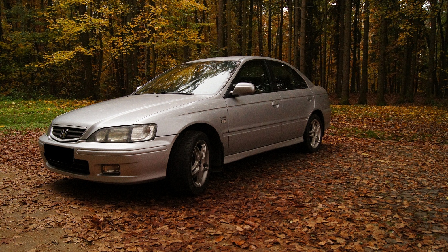 Accord v podzimním hávu. - 1