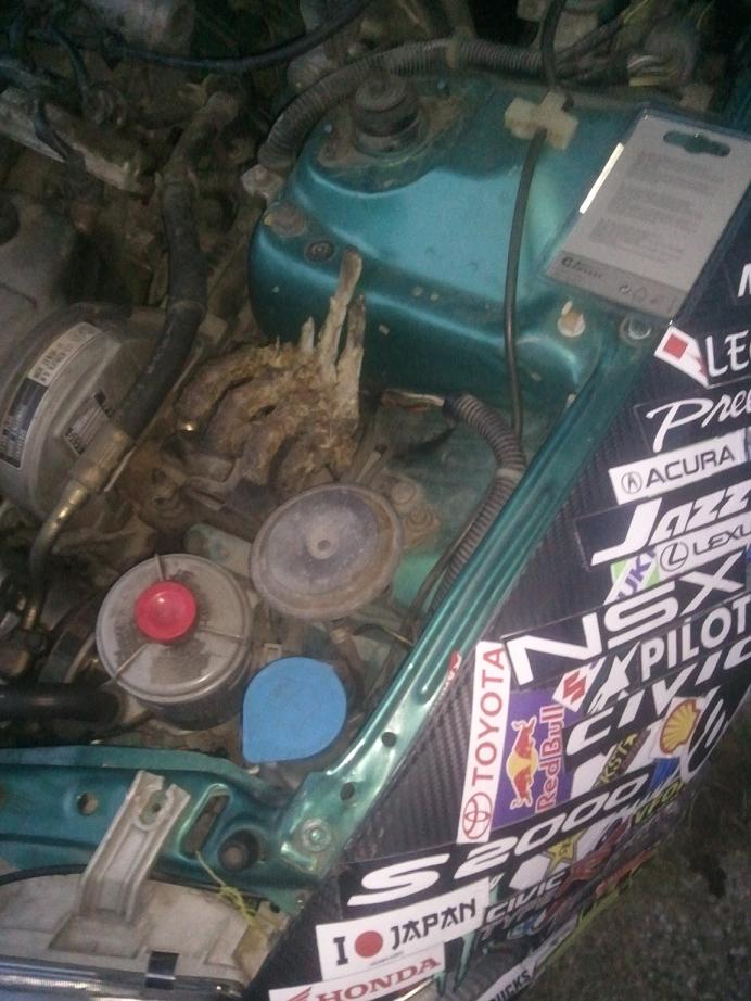 Prekvapenie pri výmene žiarovky....