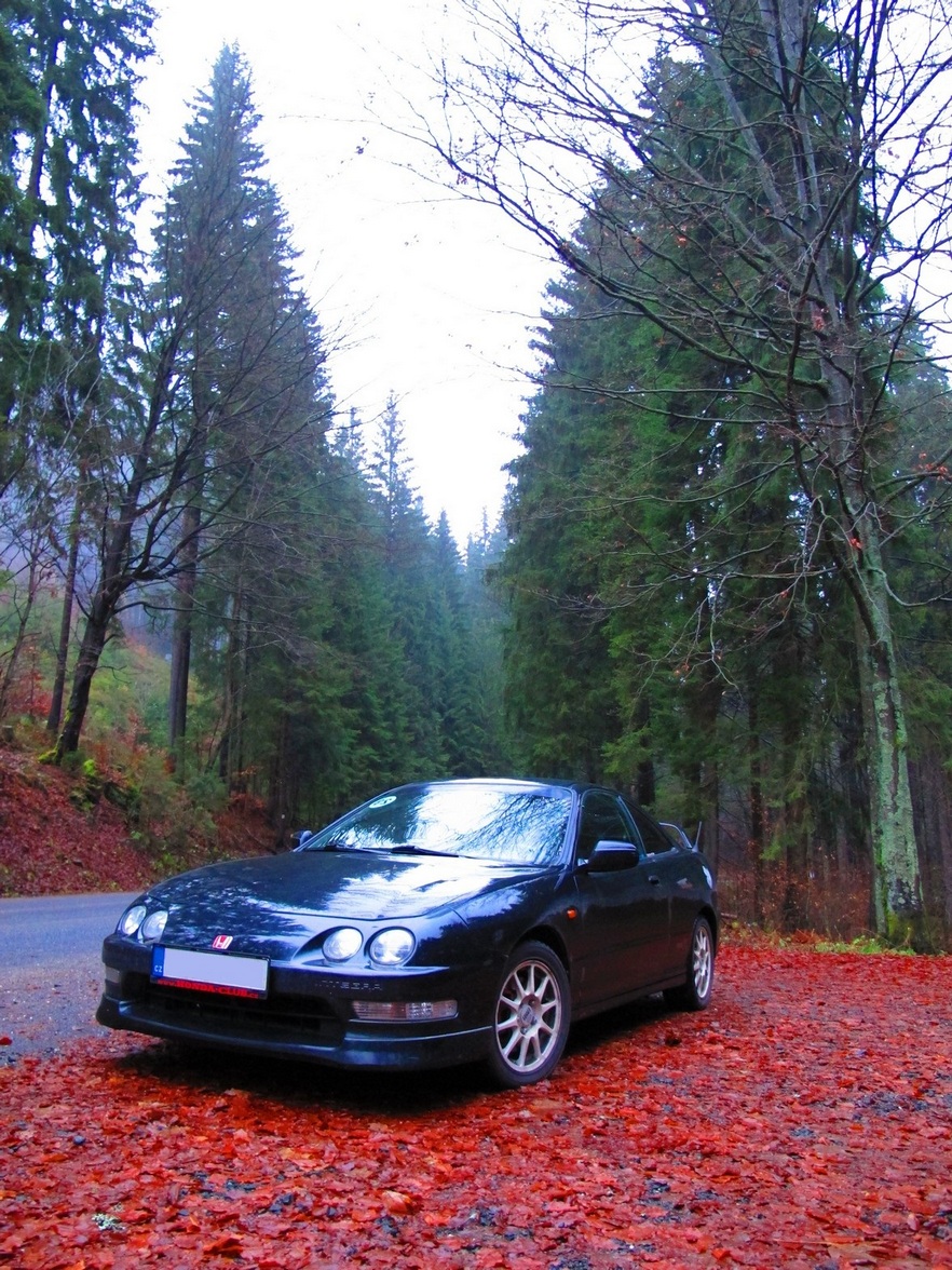 Projížďka před zimním spánkem