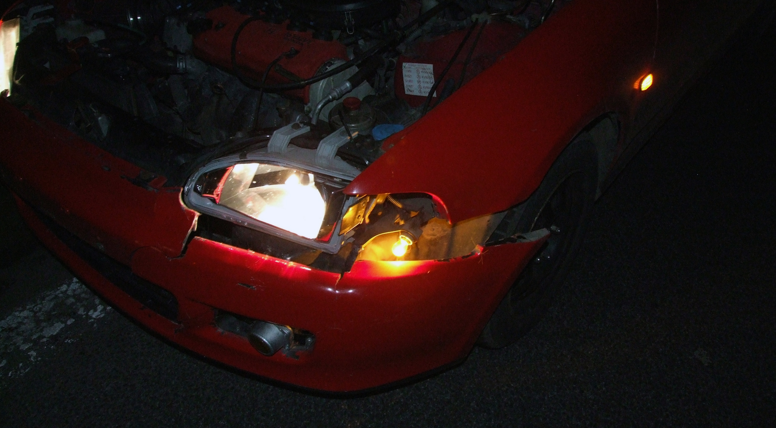 Srnka před hodinkou.