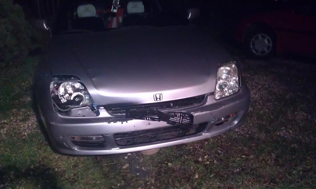 Srnka před hodinou II