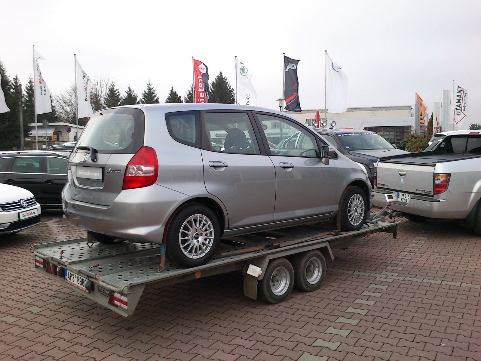 Můj nový mazlík :o)