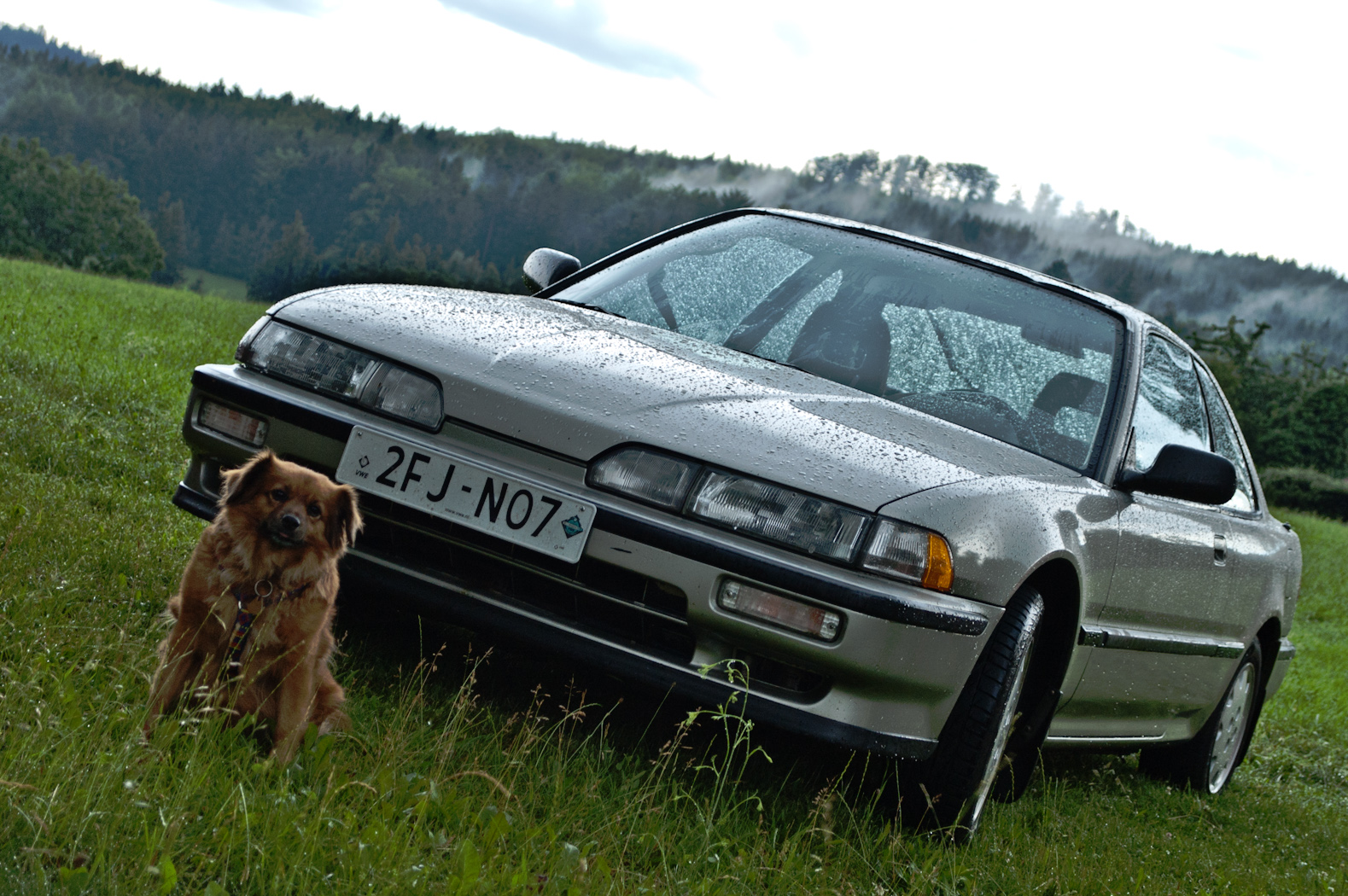 Tak dáme sérii "pózující psi", jo? :o)