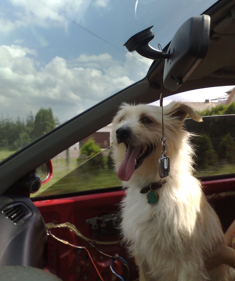 Tak ať to tady ocejpá...:-D