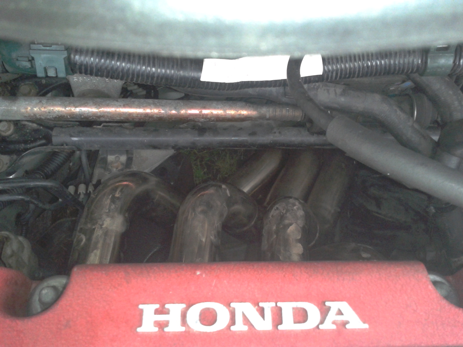 Pár koníků navíc....