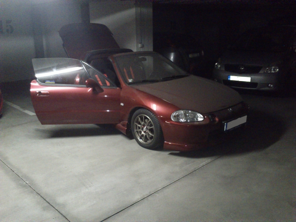 Jaro dnes opět volalo...