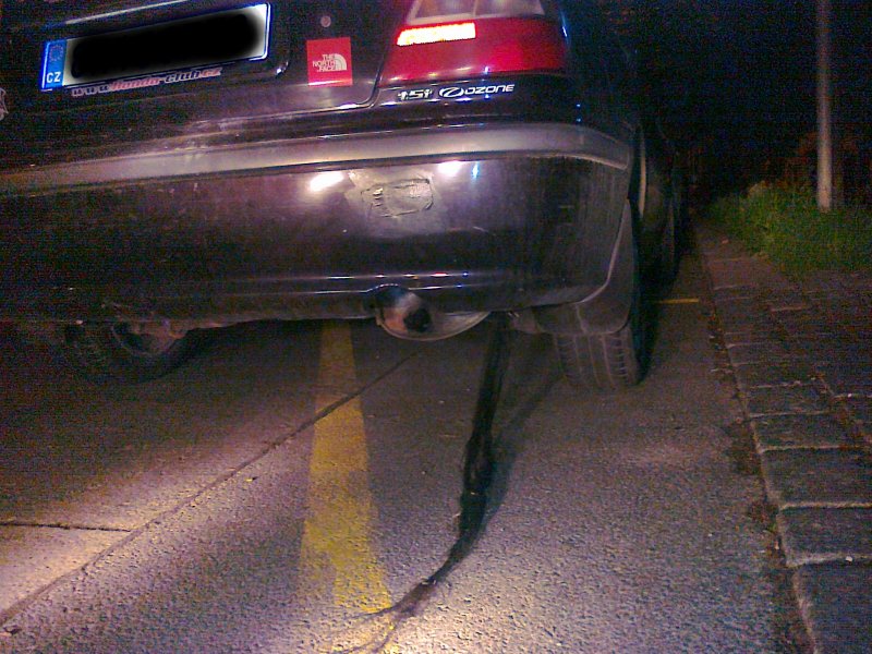 Výsledek včerejšího vyhánění pavouků