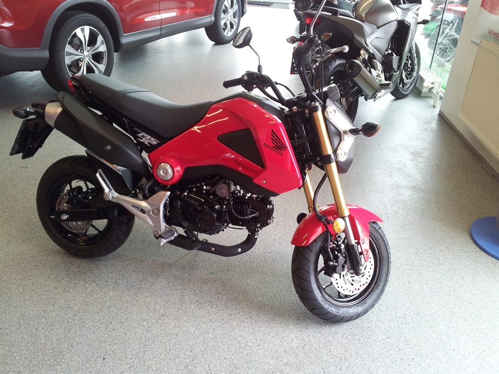 Nový přírůstek do rodiny