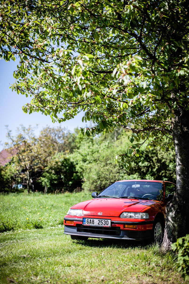 ... a v neděli ráno.