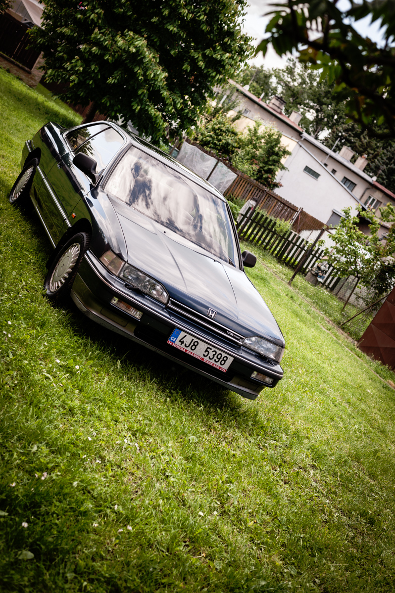 Ještě bych si dovolil jednu švestičku ze své zahrádky ...