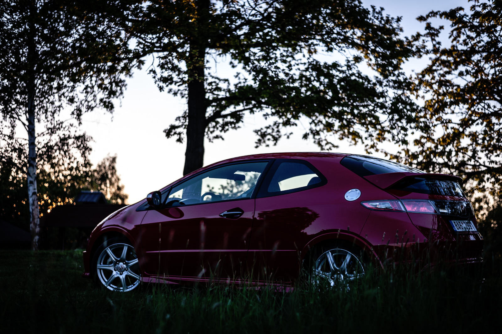 Asi nejpovedenější fotka s mastíkem ...