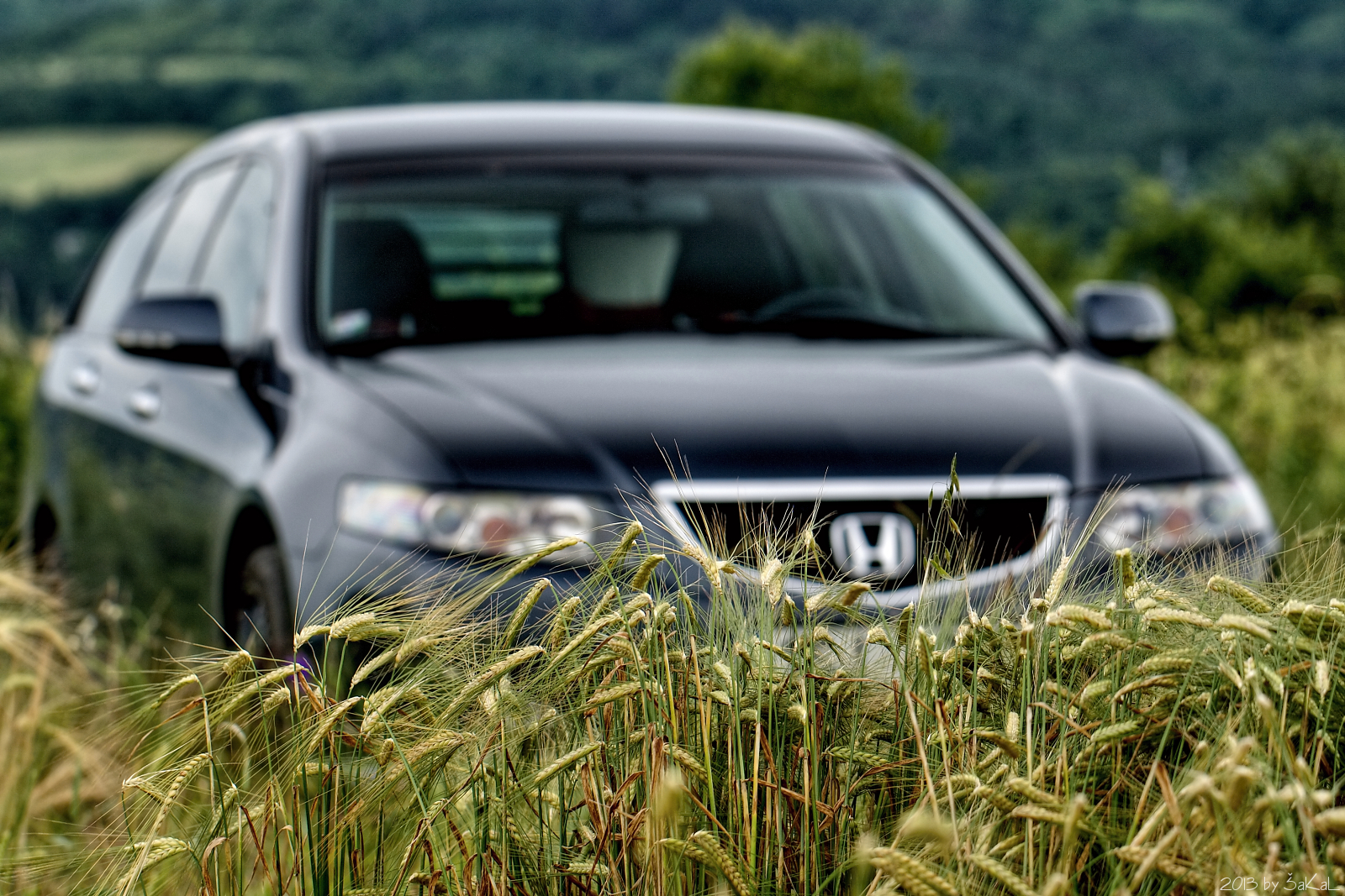 Accord v kombajnu...