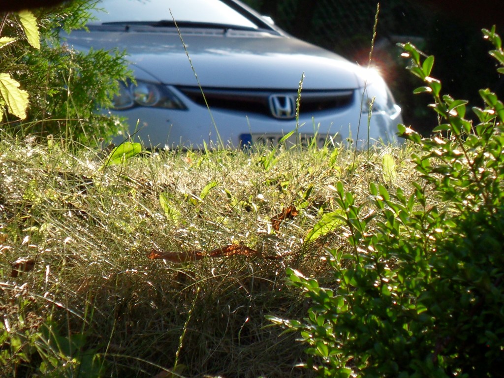 Už na někoho číhá...